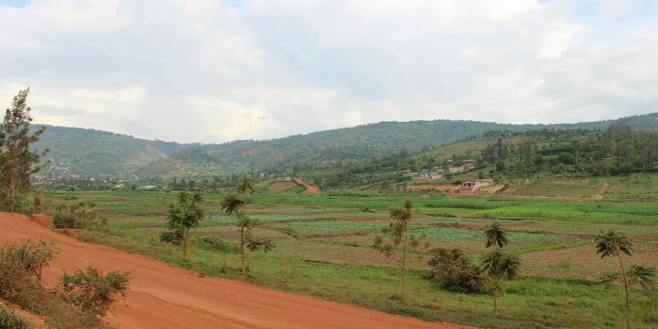 Picturesque view of lush green fields and rolling hills in Kigali, Rwanda.