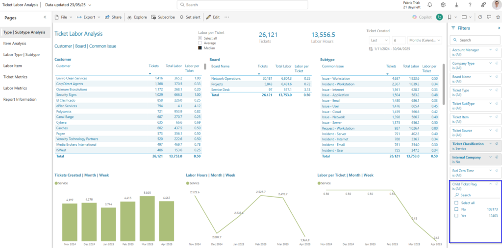 Ticket Labor Analysis Report | Type | Subtype Analysis page – Child Ticket Flag filter highlighted
