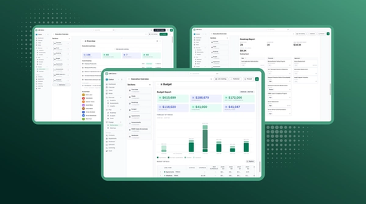 Three different reporting views in Lifecycle Manager: overview, roadmaps, and budget.