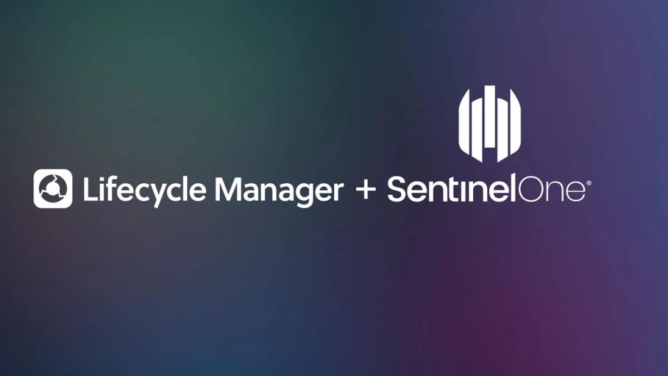 SentinelOne endpoint security data shown in a client-ready Lifecycle Manager Deliverable