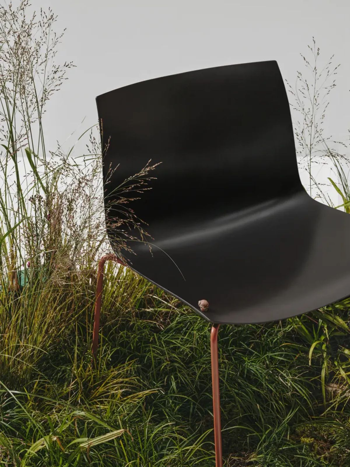 Layered paper shell captures carbon while reducing overall environmental impact