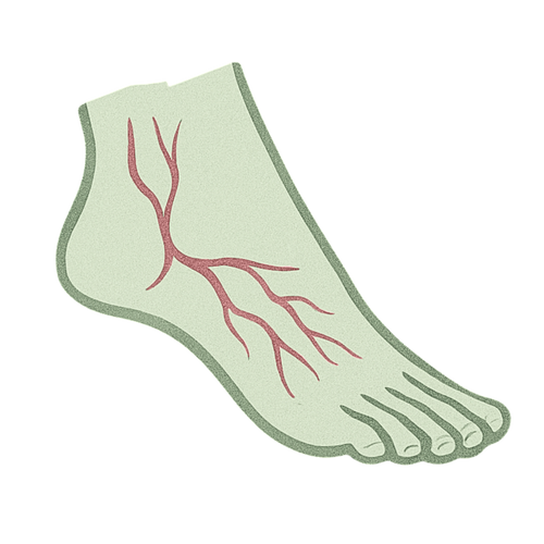 Neuropathy Shoes