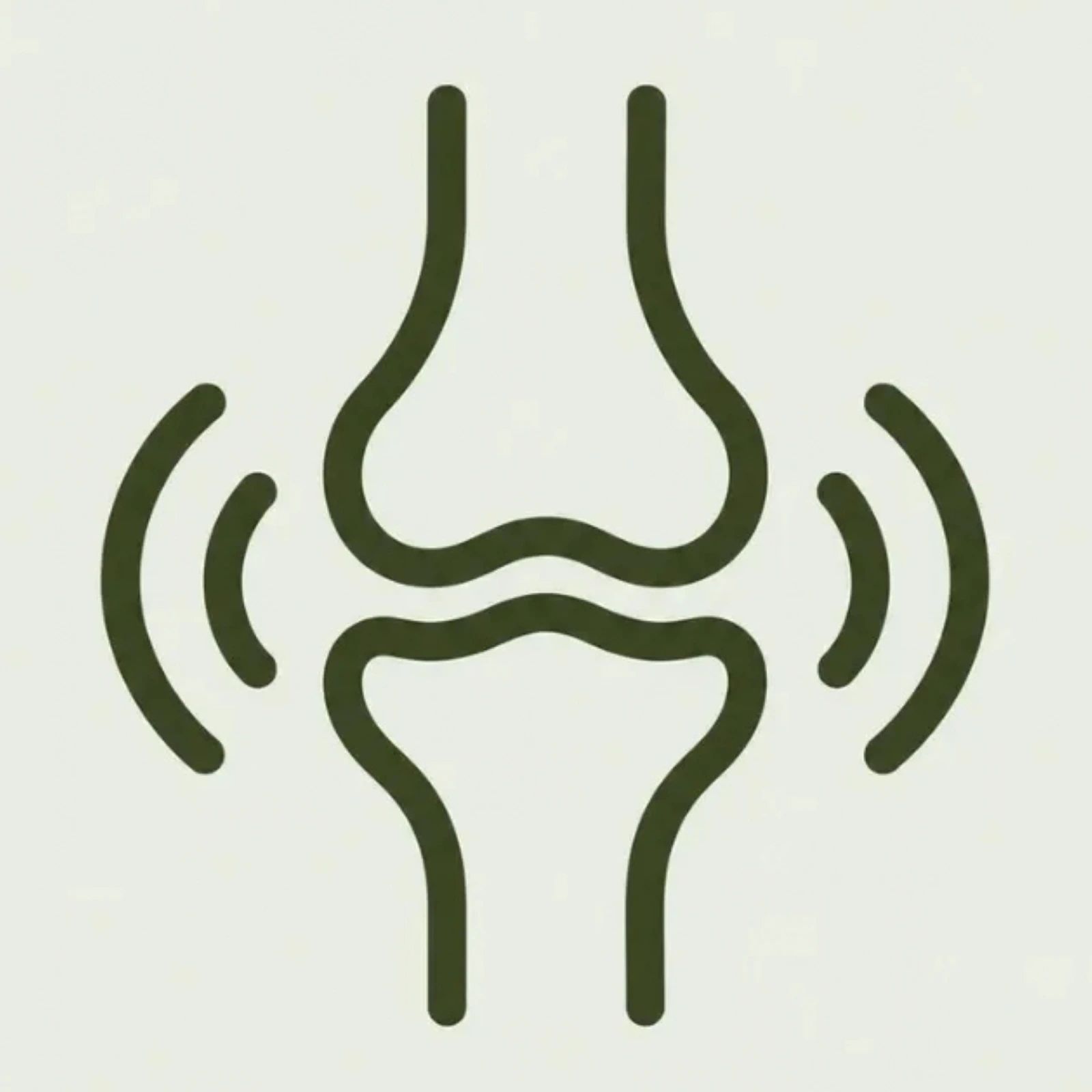 Inflammation Support
