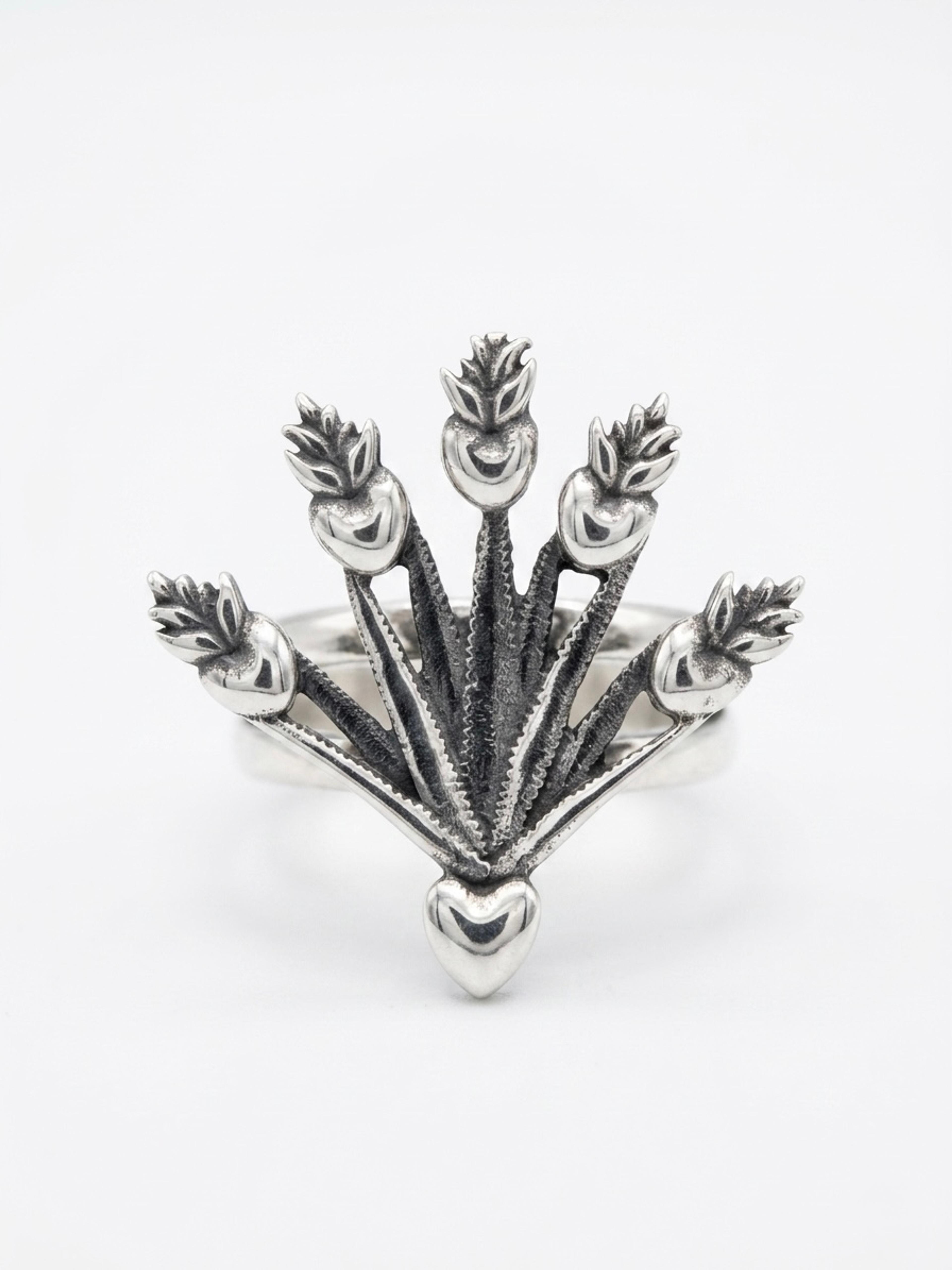 anillo