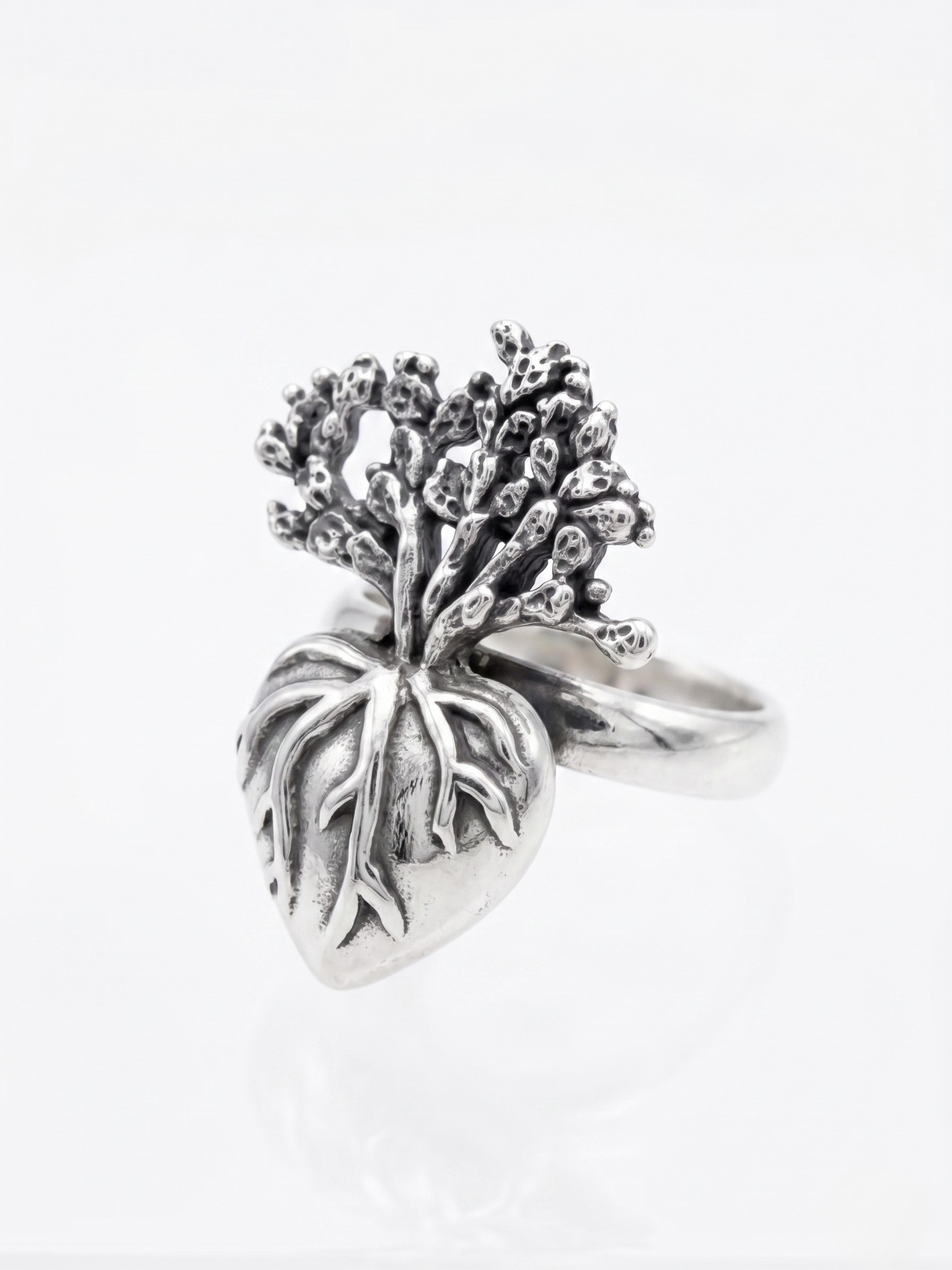 anillo