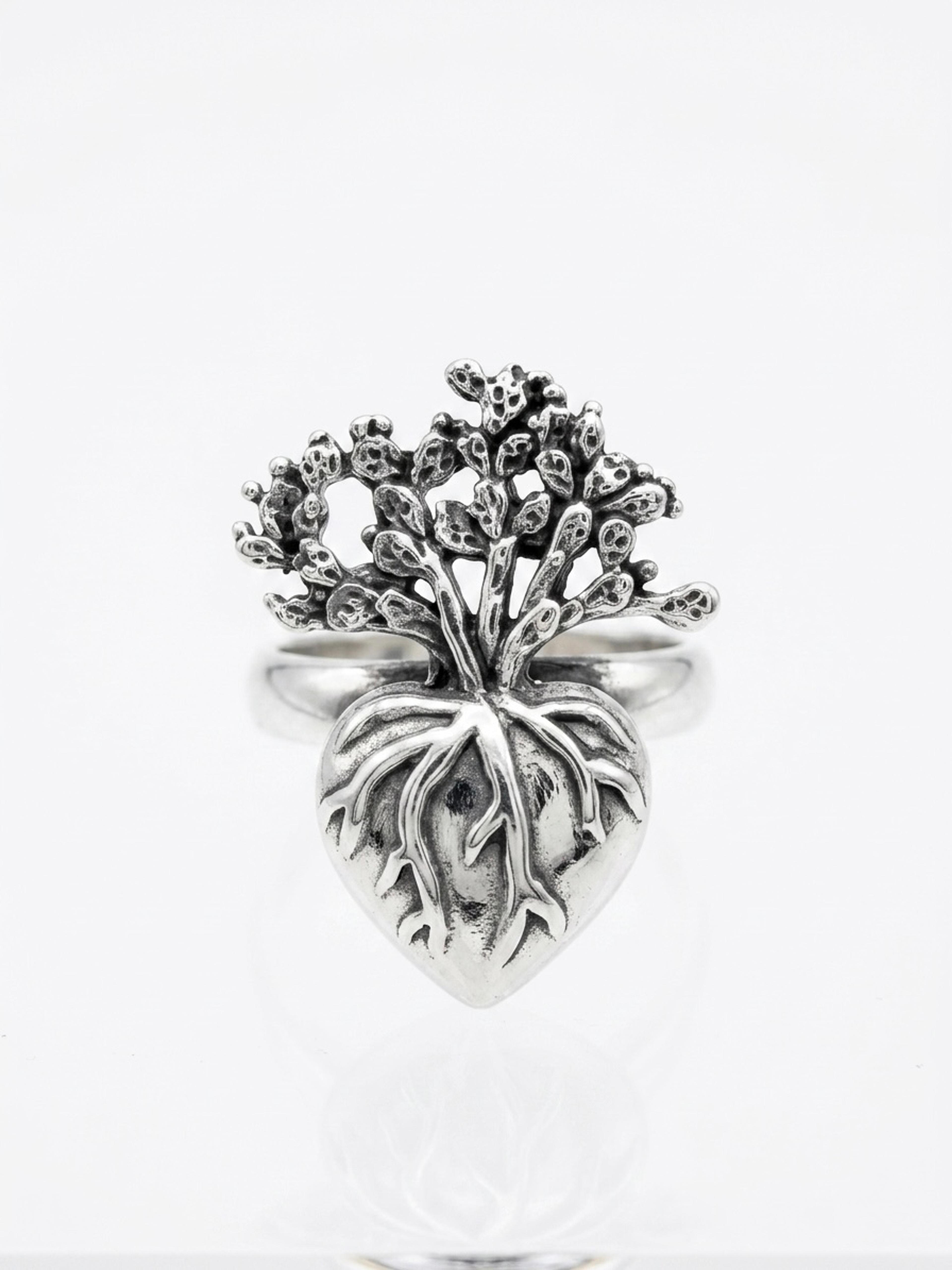 anillo