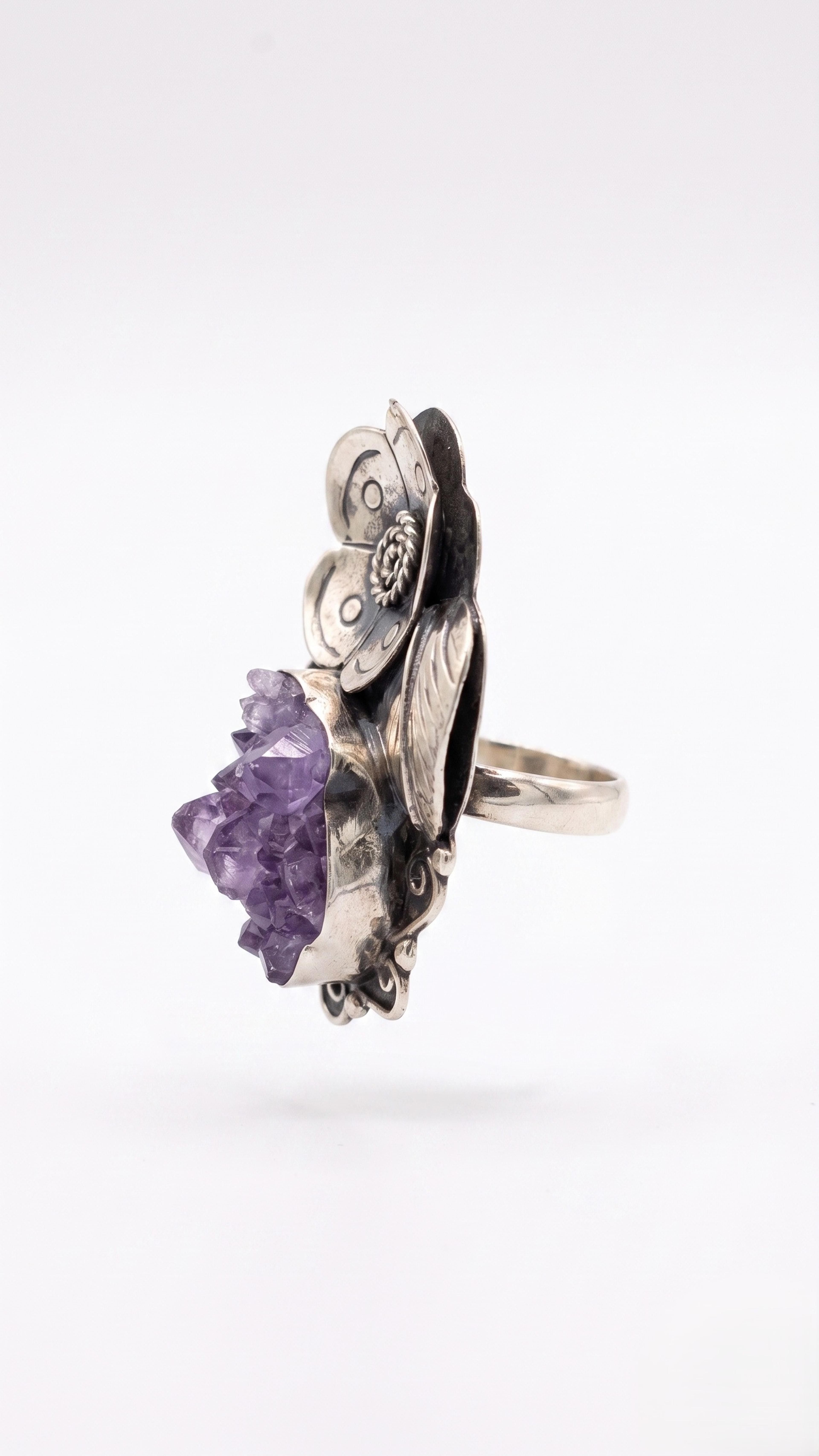 anillo