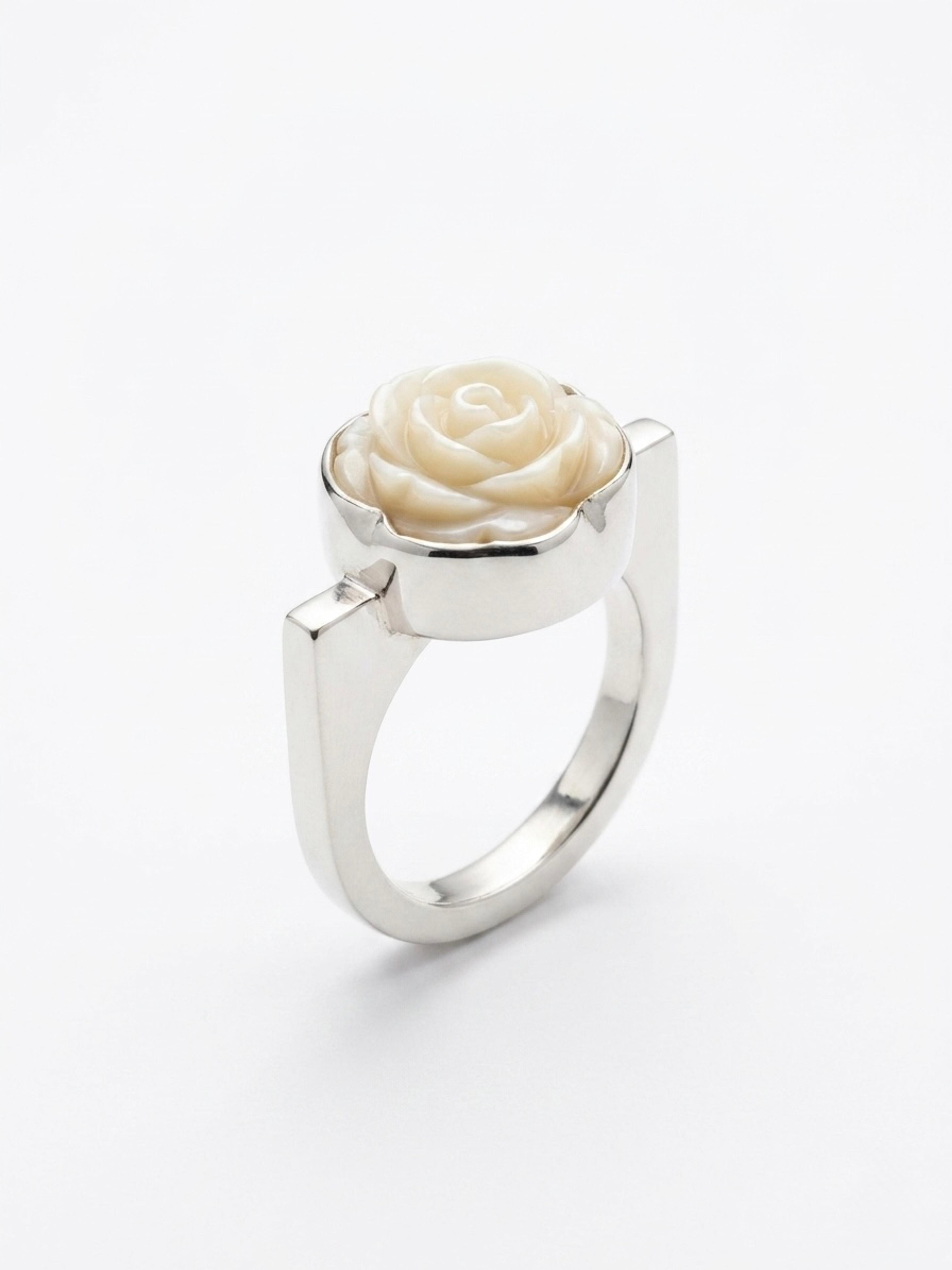 anillo
