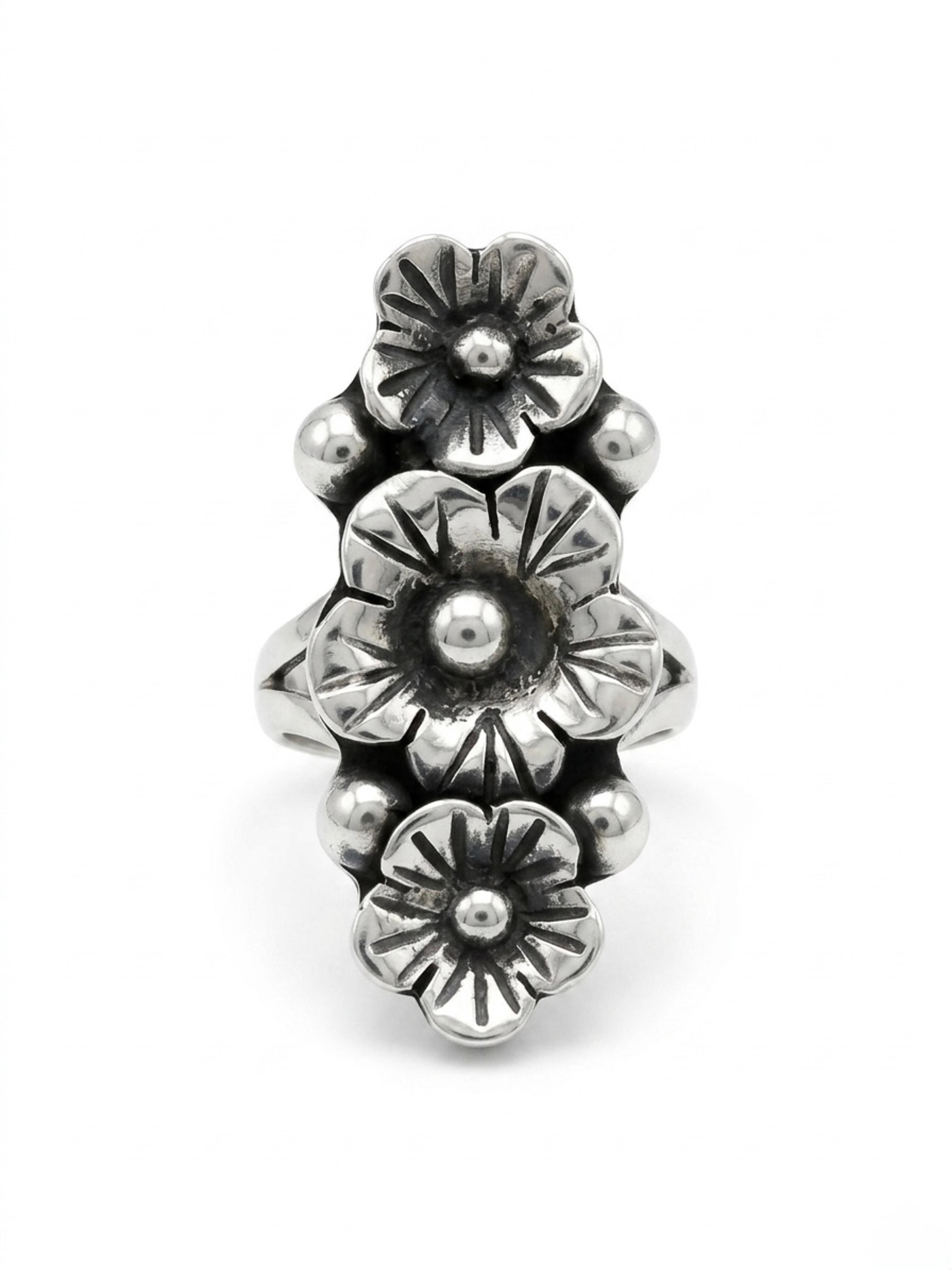 anillo
