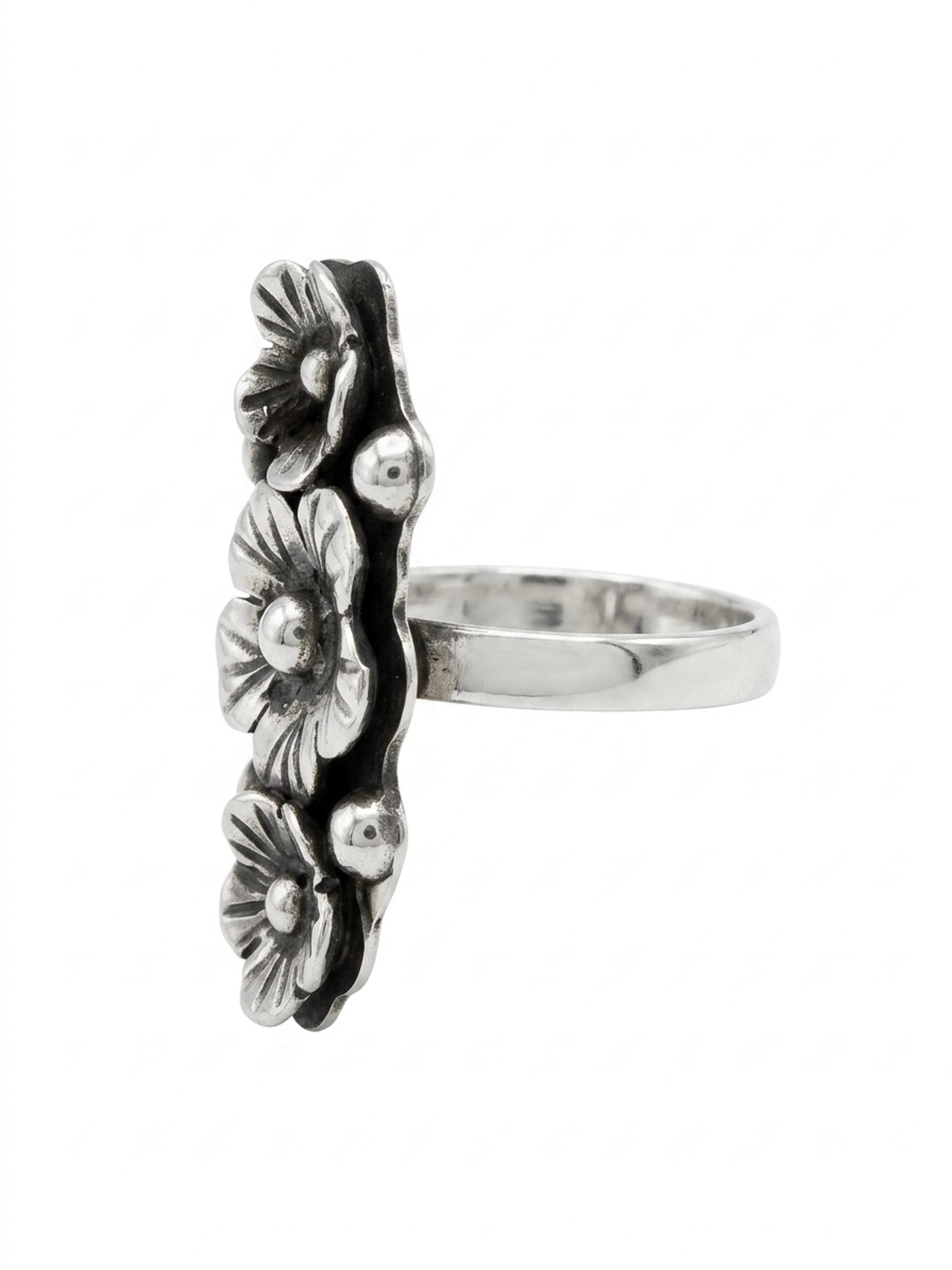 anillo