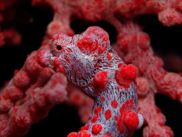 Kerstin Decrinis & Michelle Scherbler