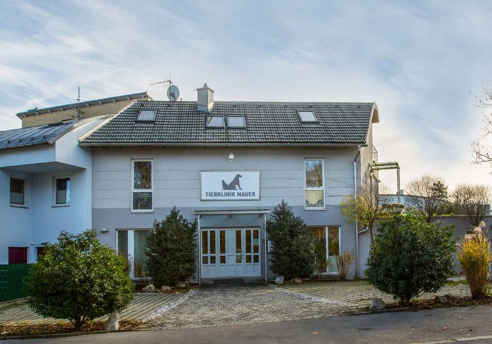 Tierklinik Mauer