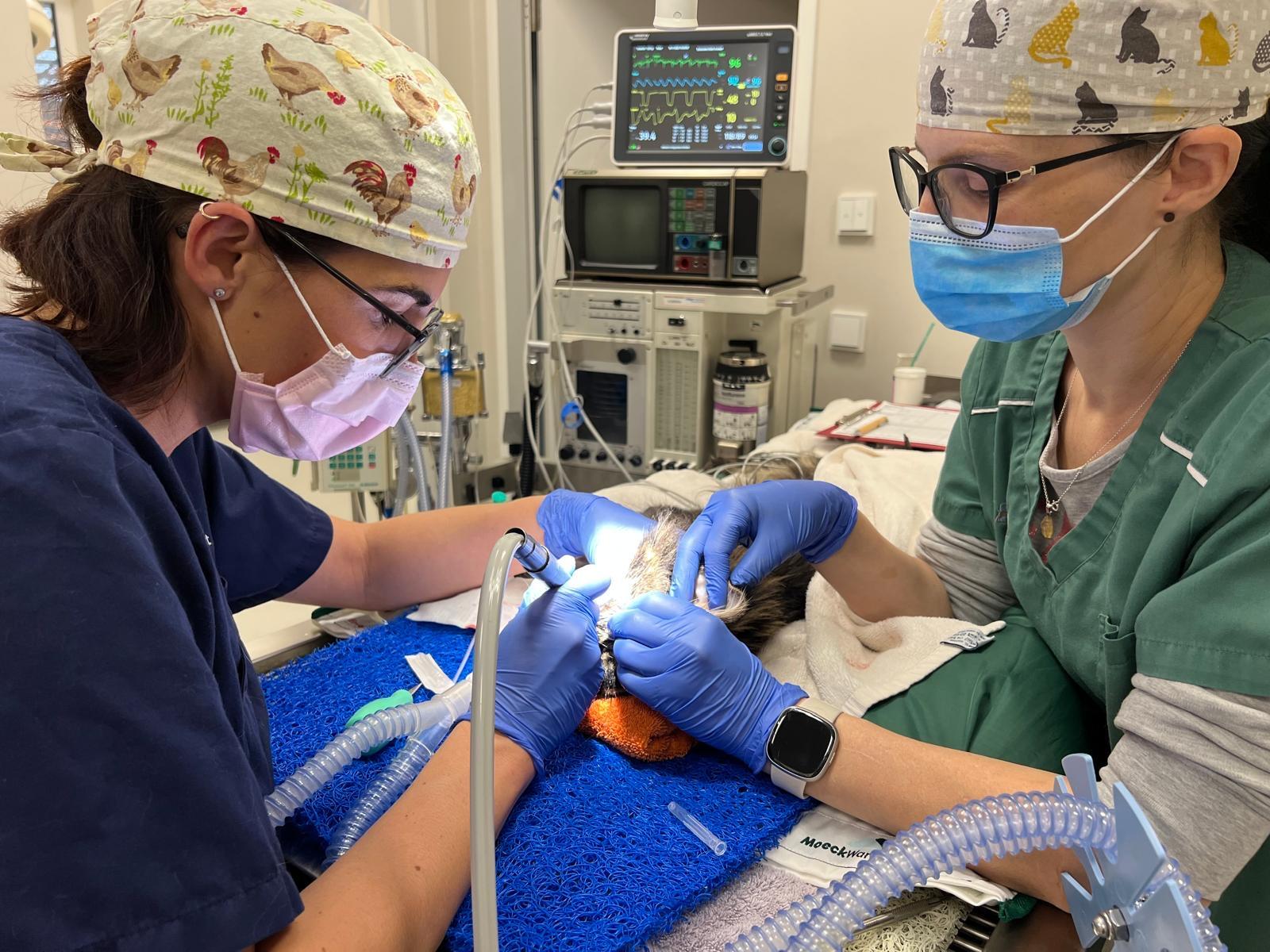 Zahnsanierung Steinerkirchen