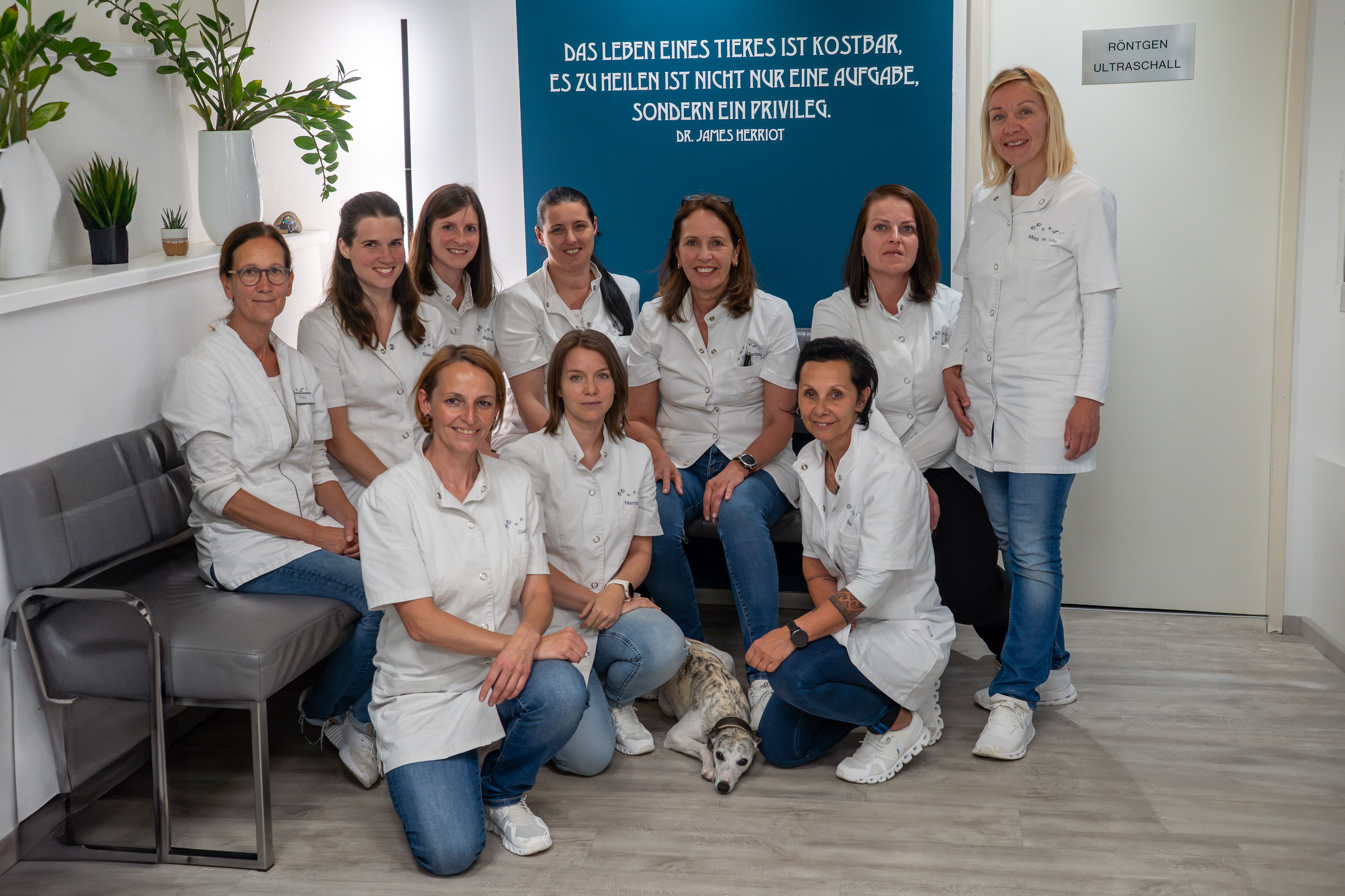 TVZ Scheibbs Kleintierordination