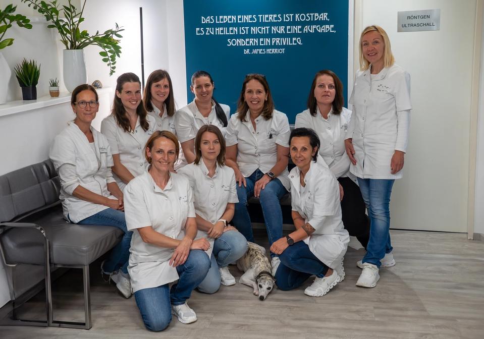 TVZ Scheibbs Kleintierordination