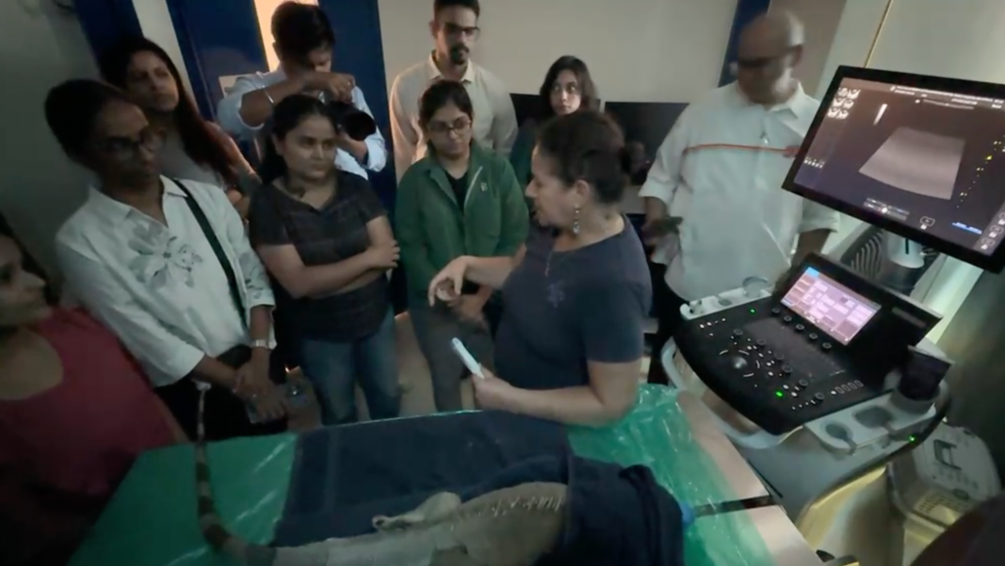 A woman demonstrates an ultrasound on an iguana to a group of observers gathered around an ultrasound machine.
