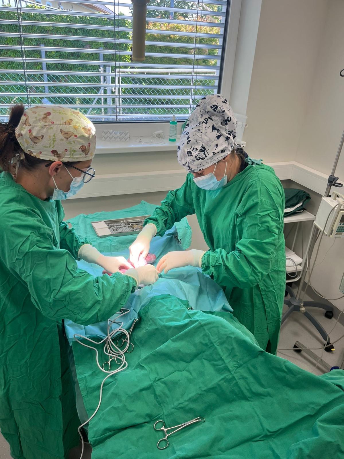 Operation Steinerkirchen