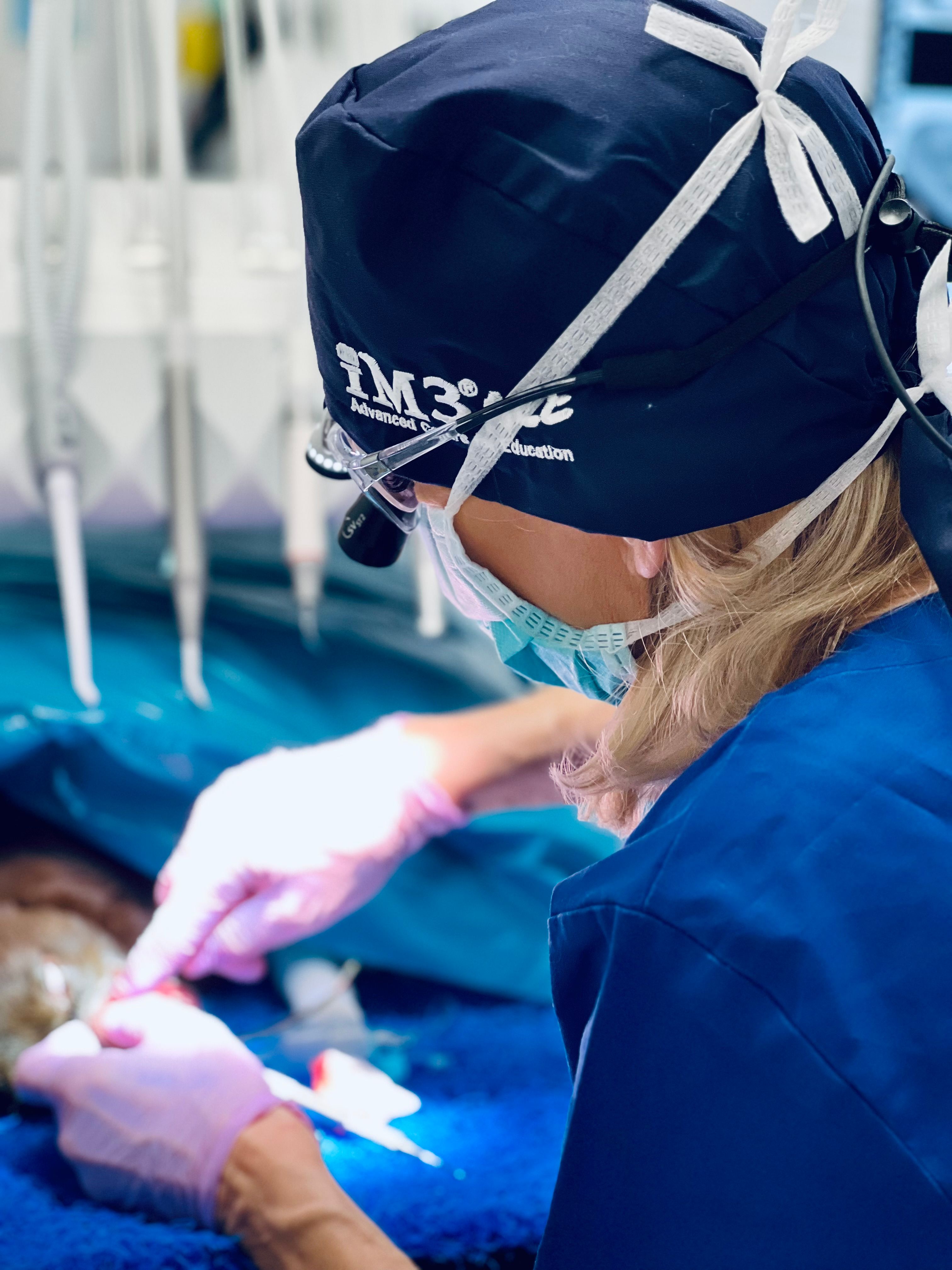 Tierarztpraxis Groß-Enzersdorf