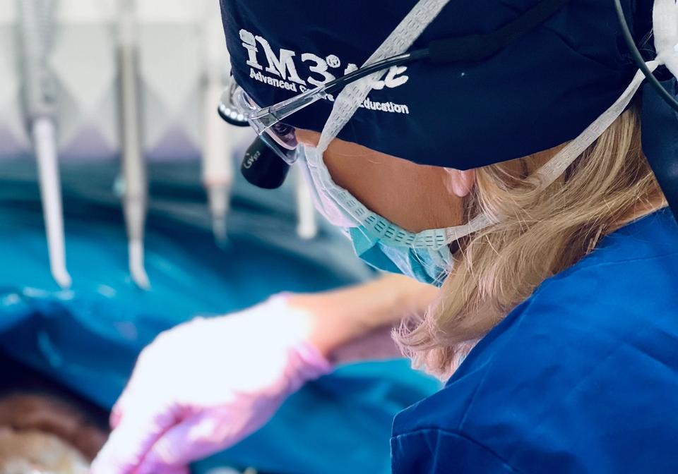 Tierarztpraxis Groß-Enzersdorf