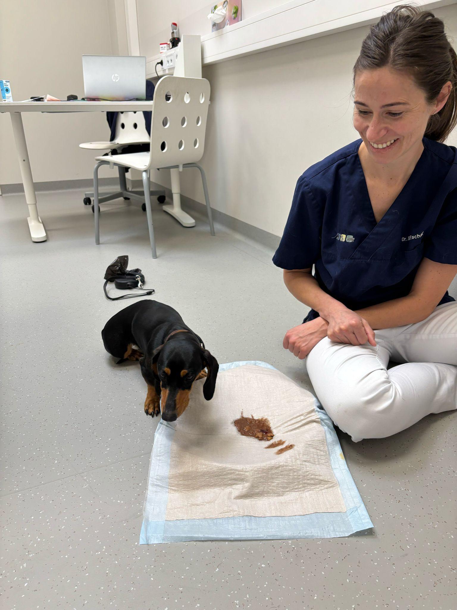 Schokokekse müssen leider wieder raus...