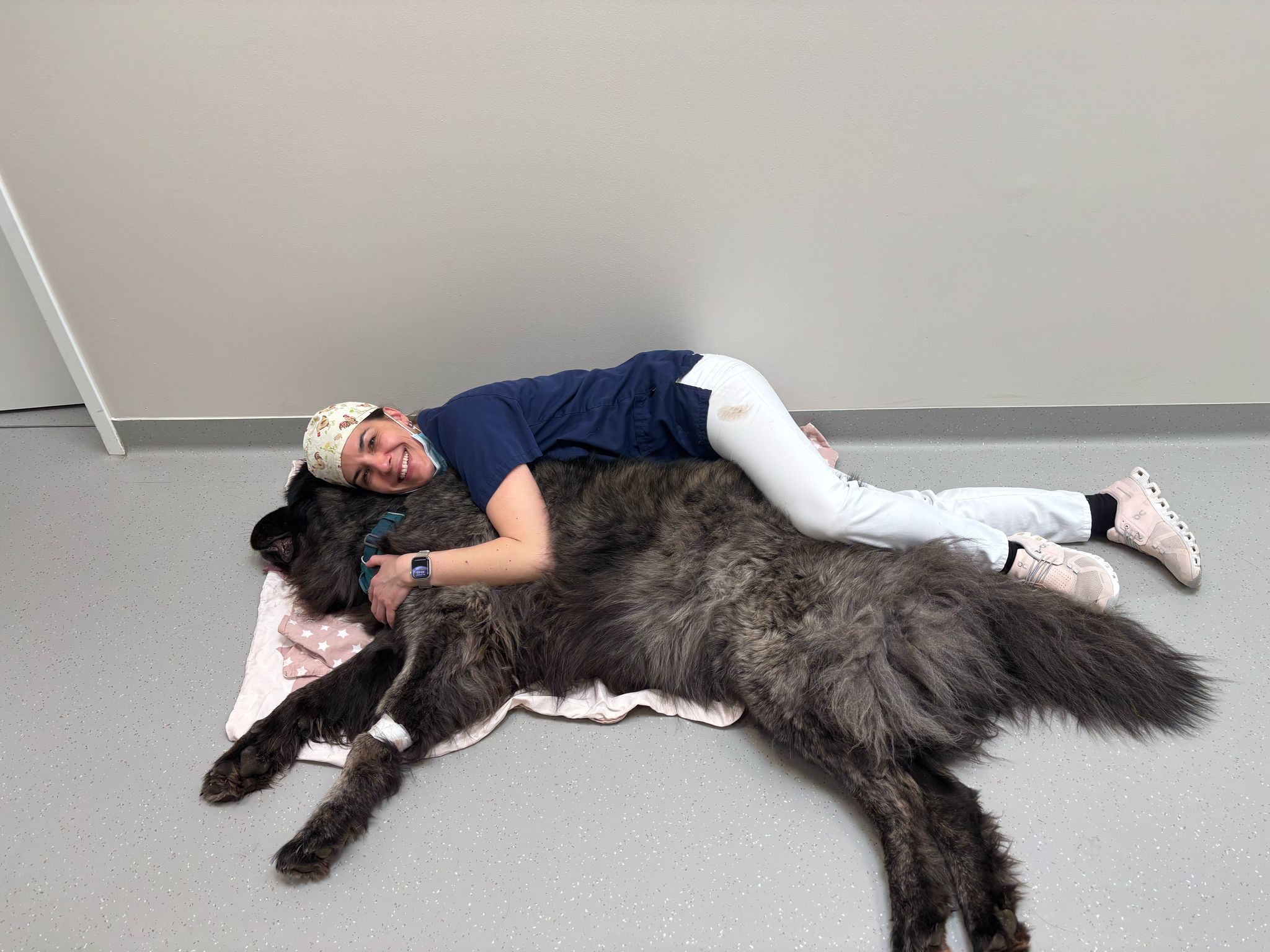 Auch große Vierbeiner werden gut versorgt :)