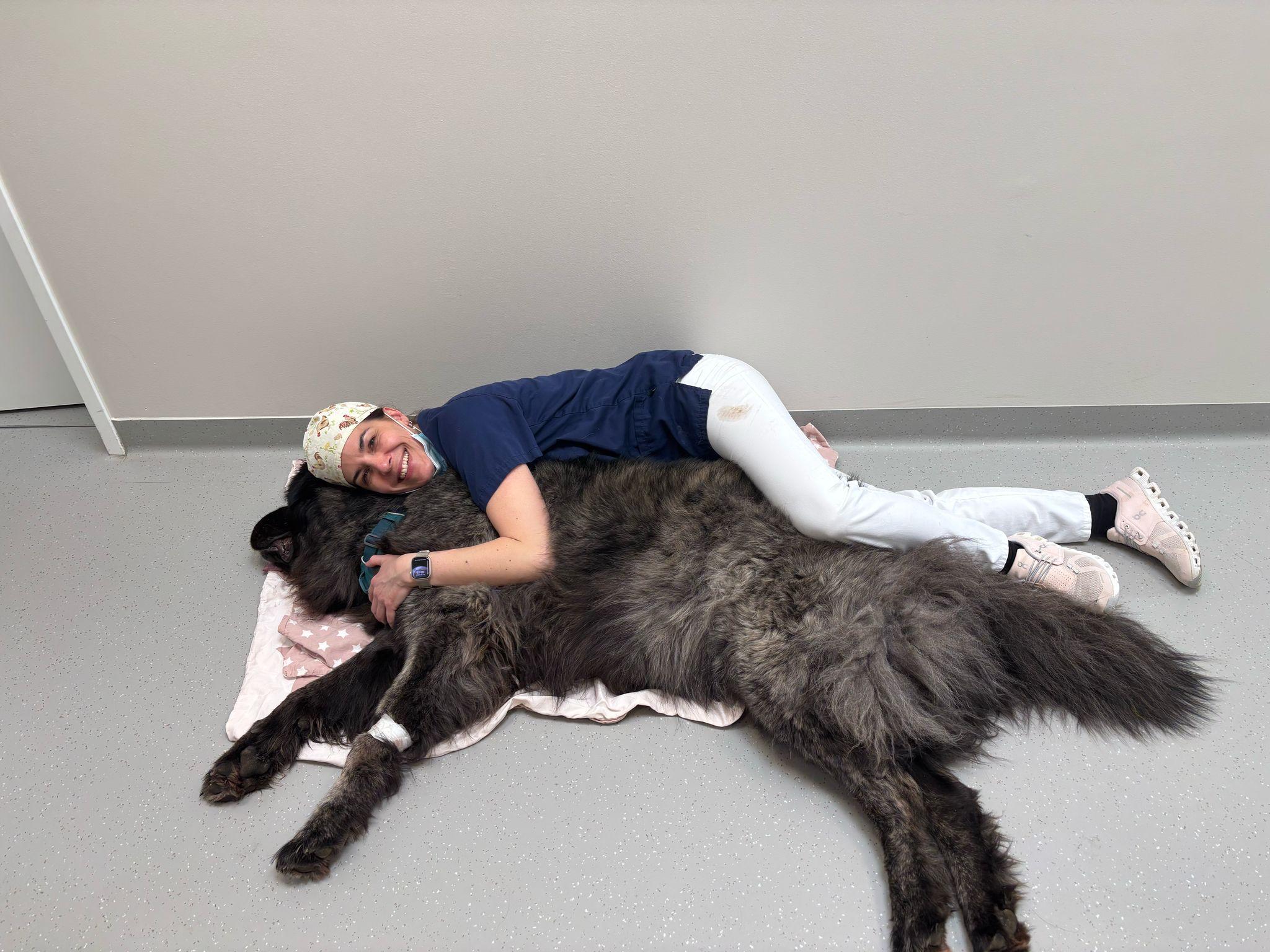 Auch große Vierbeiner werden gut versorgt :)