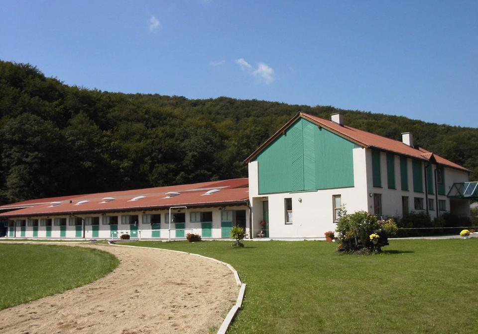 Pferdeklinik Pegasus