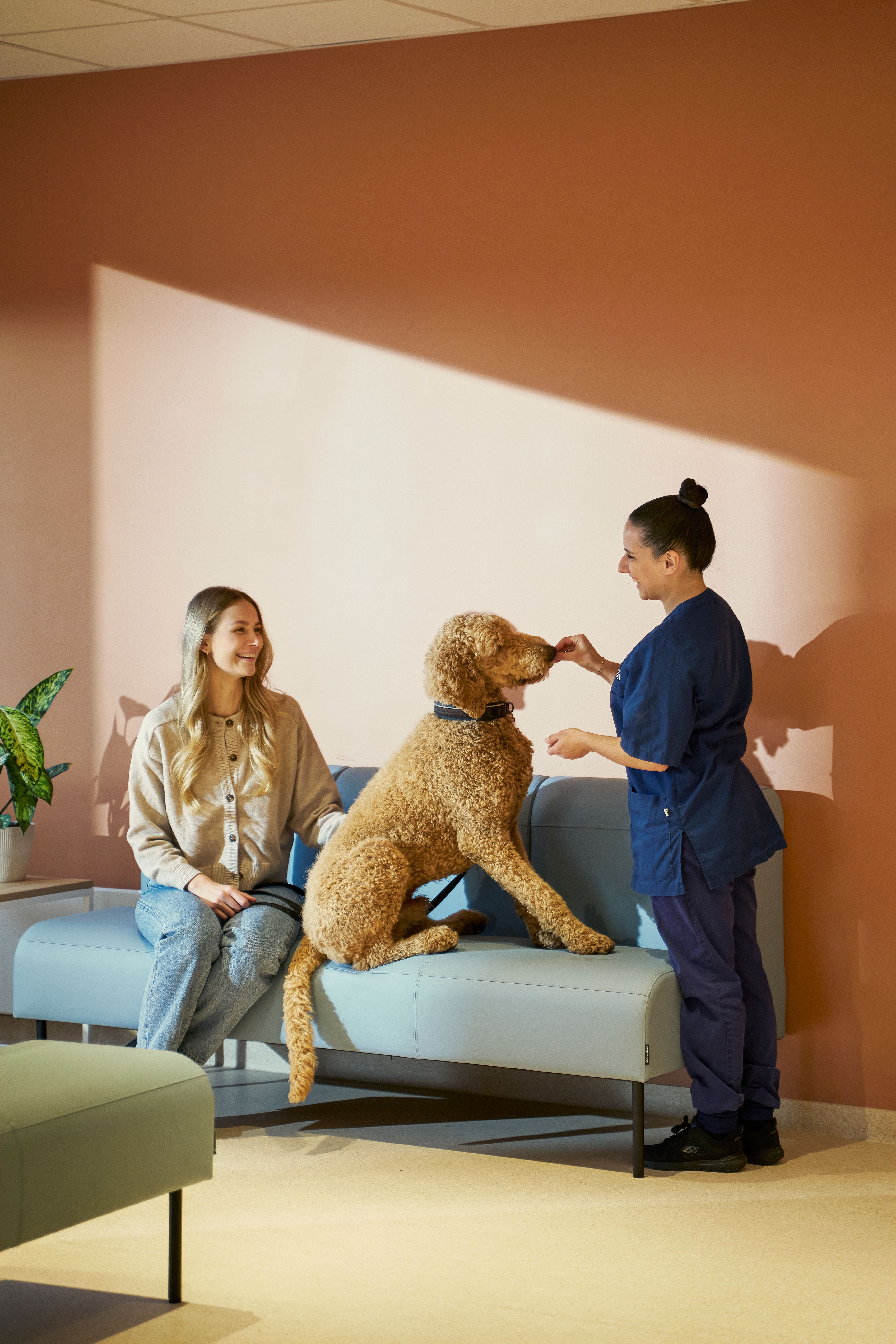 Owner and dog with a clinician