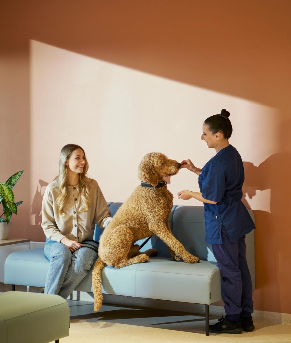 Owner and dog with a clinician