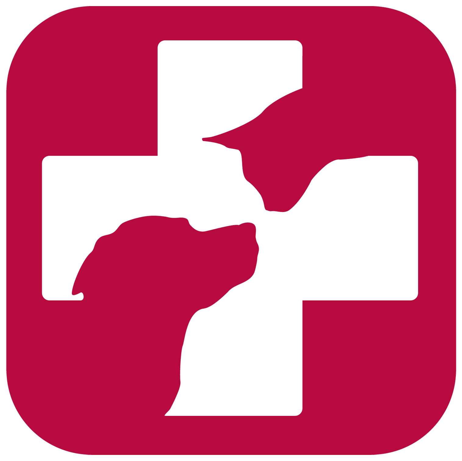 Fachtierärzte Dr. Krebitz-Gressl logo