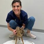 Mag. Karoline Seifert | Klinikleitung | Tierärztin - Zahnmedizin, Interne Medizin, Vorsorgemedizin & Dermatologie