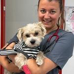 Julia Kempen MSc, Veterinary doctor | Tierärztin - Ambulanz, Verhaltenstherapie, Chirurgie