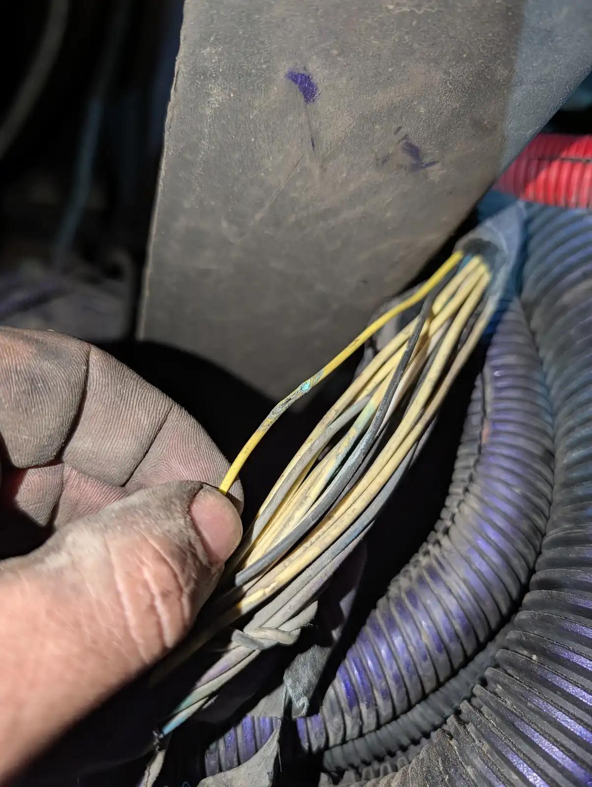 Wiring harness detail during truck and heavy equipment service