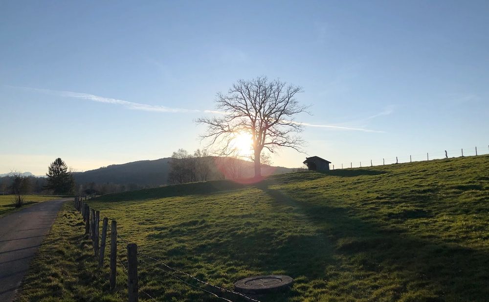 Was ist ein Bindungstrauma?