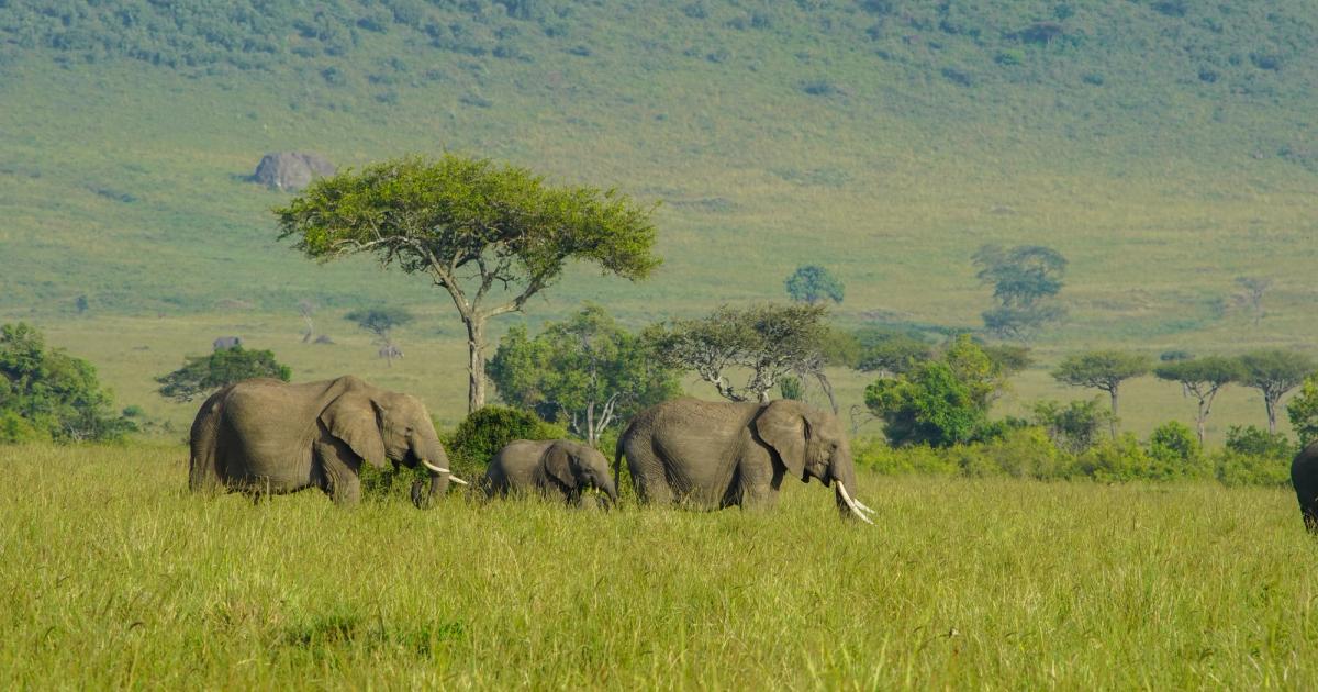 Luxury tented camp in Masai Mara, Kenya – Elatia Camp at sunset