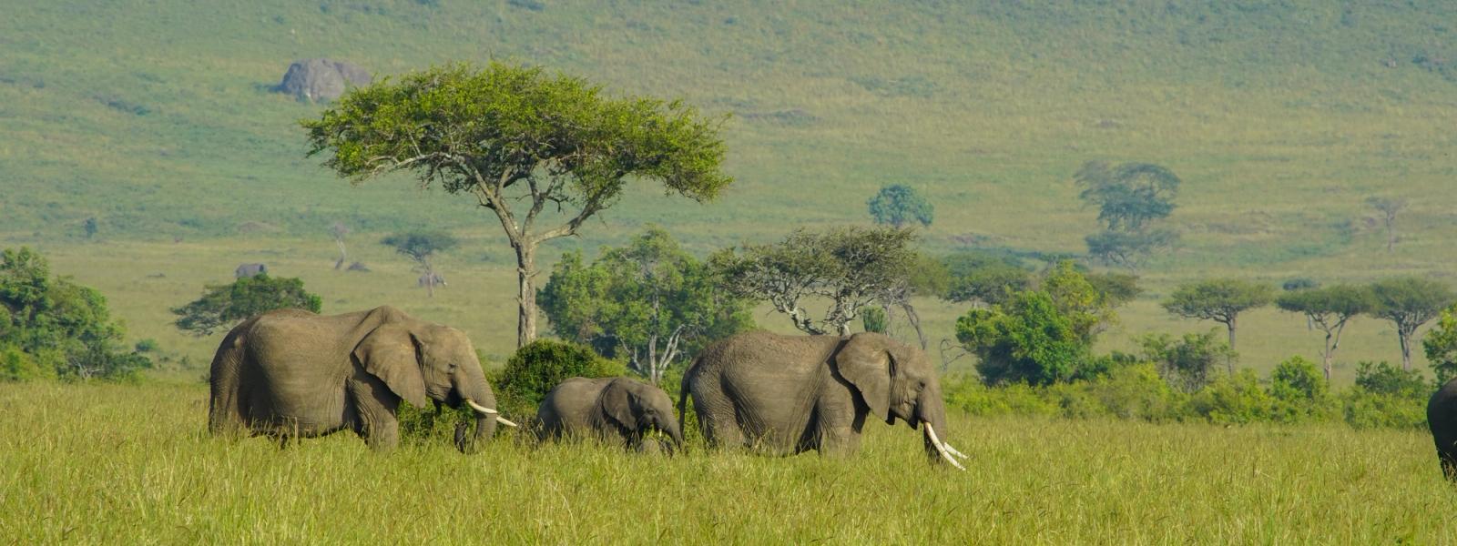 Luxury tented camp in Masai Mara, Kenya – Elatia Camp at sunset