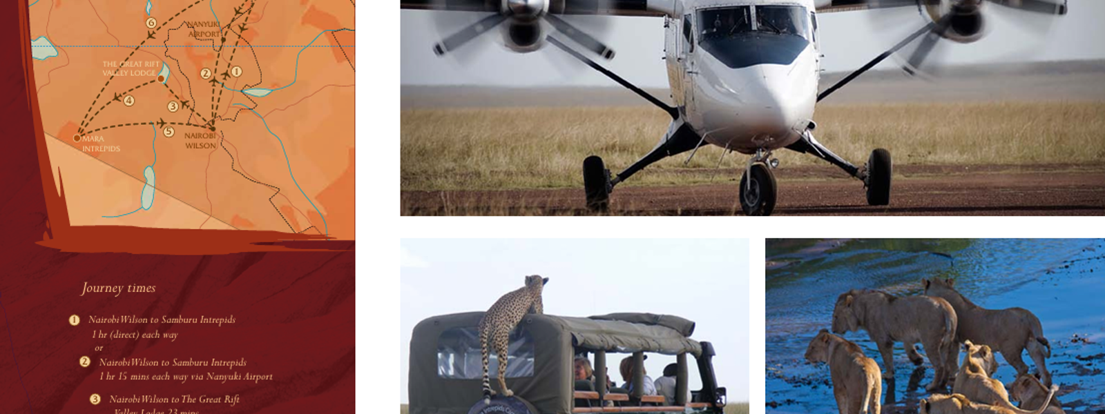 Luxury Safari Packages in Kenya: Complete Day-by-Day Itinerary (Samburu, Naivasha & Masai Mara)