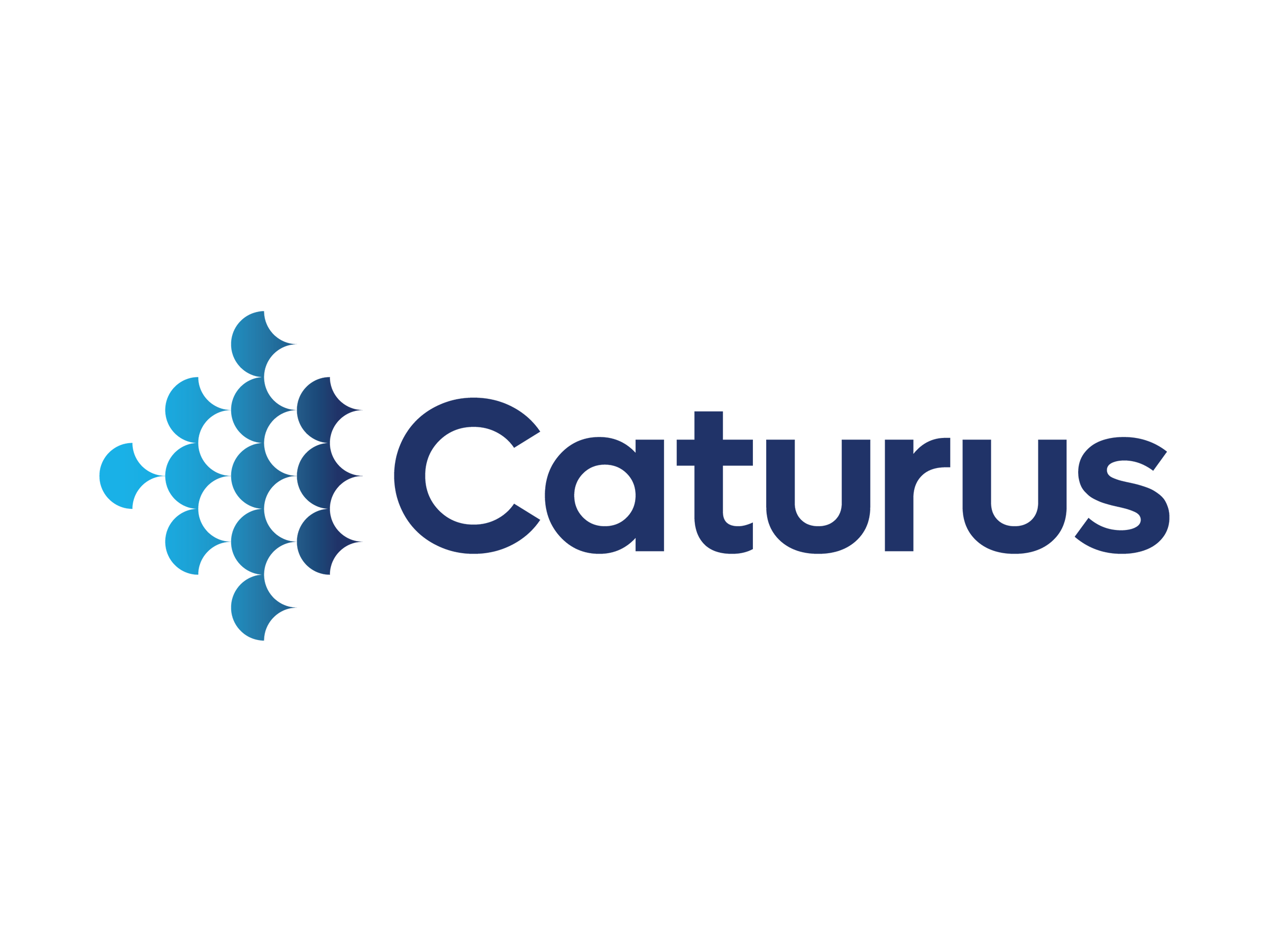 Commonwealth LNG Project achieves full commerciality