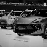 Chery Boss Warns Many Chinese Car Brands Will Die As Losses Mount