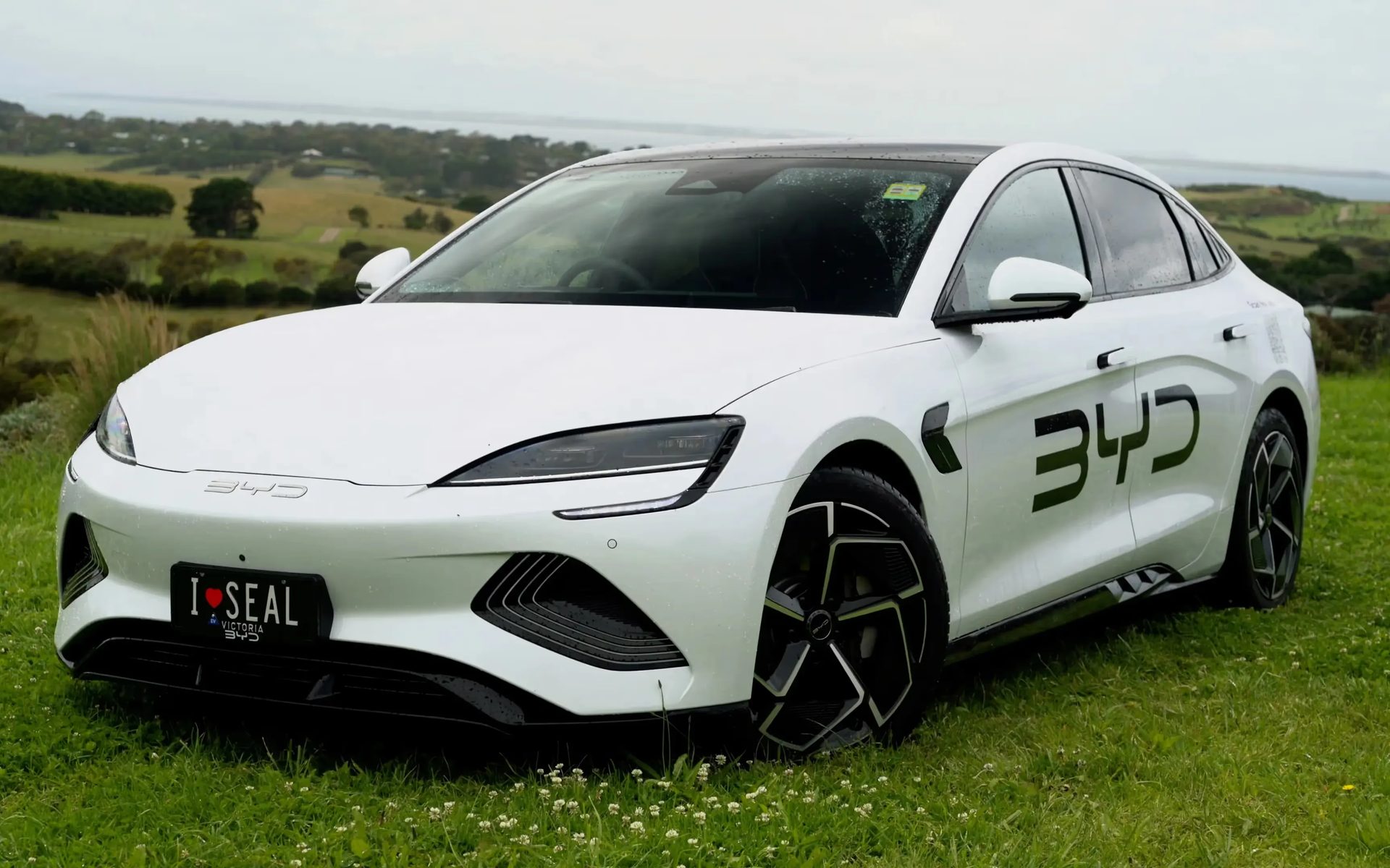 The Shenzhen Smash: Why BYD’s $30,000 Seal is the New Member-Guest ringer
