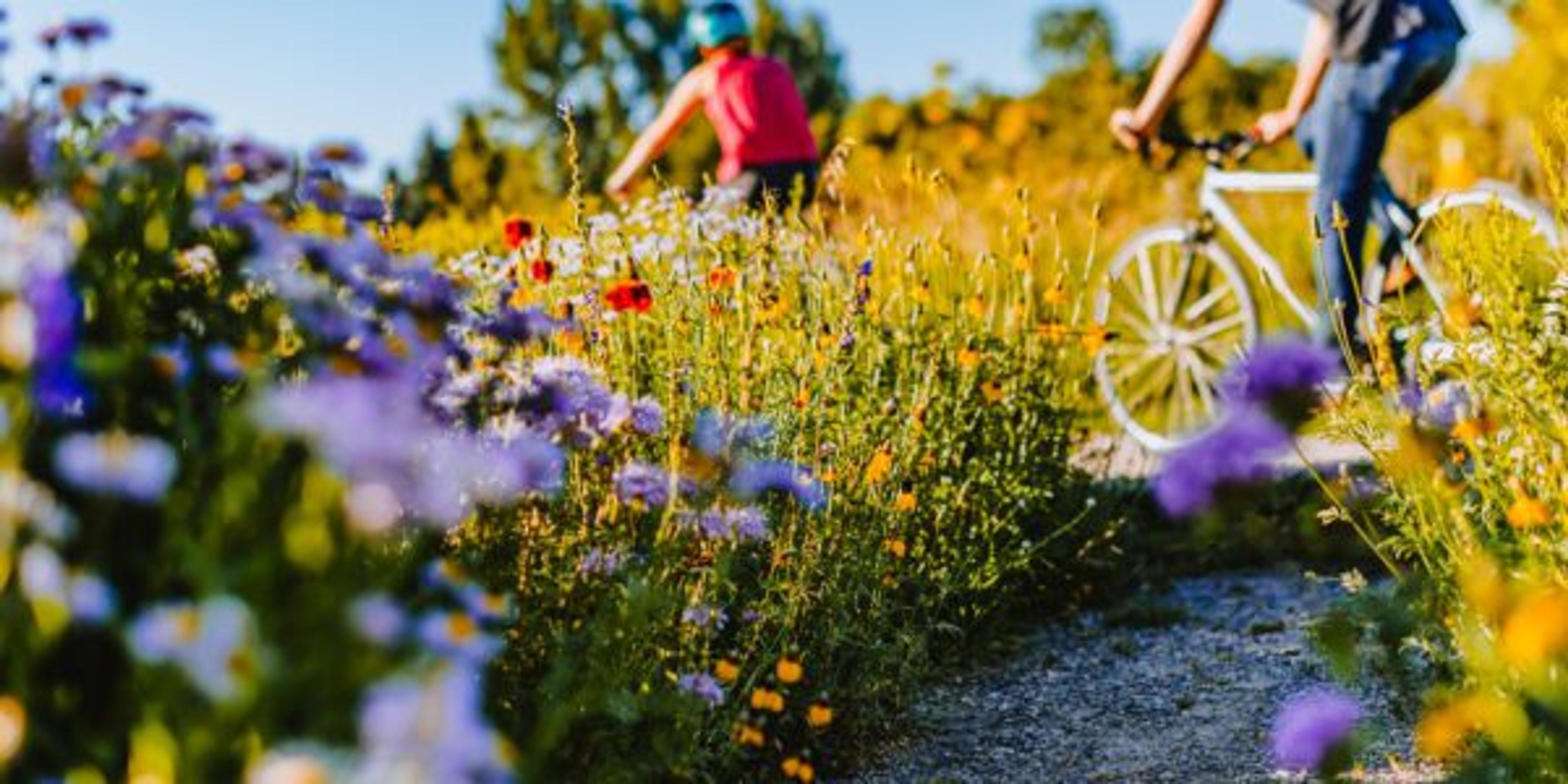 Unrecognizable person on a bike ride through a lush wildflower field on a summer day healthy lifestyle