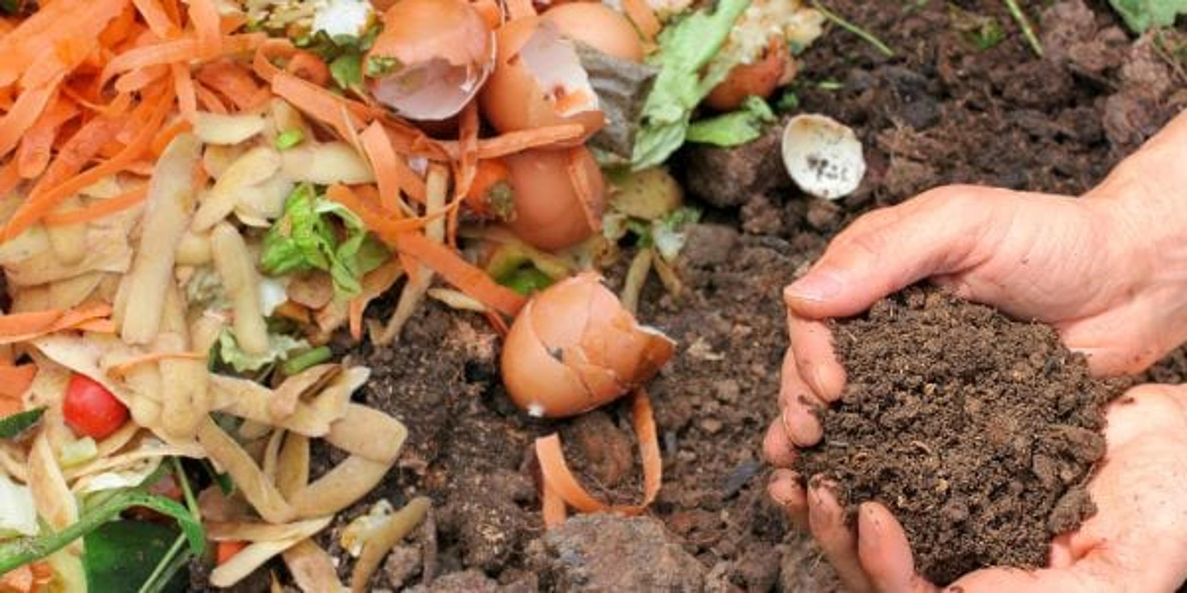How to Start a Backyard Compost