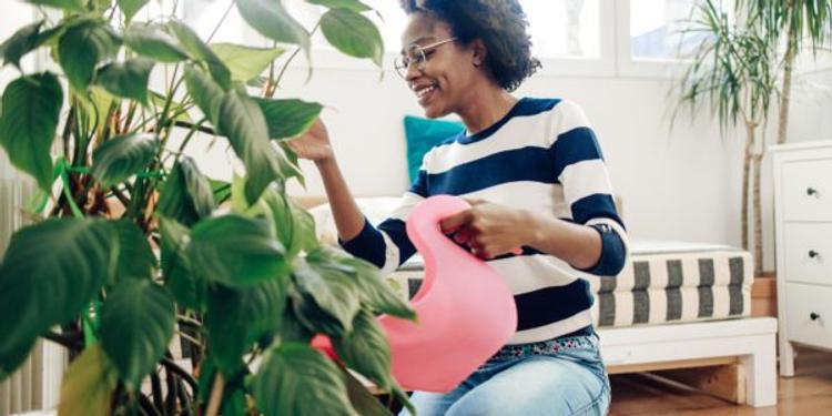 Curated visual reference: Picture Idea: Why Indoor Plants Are Good For Your Mental Health