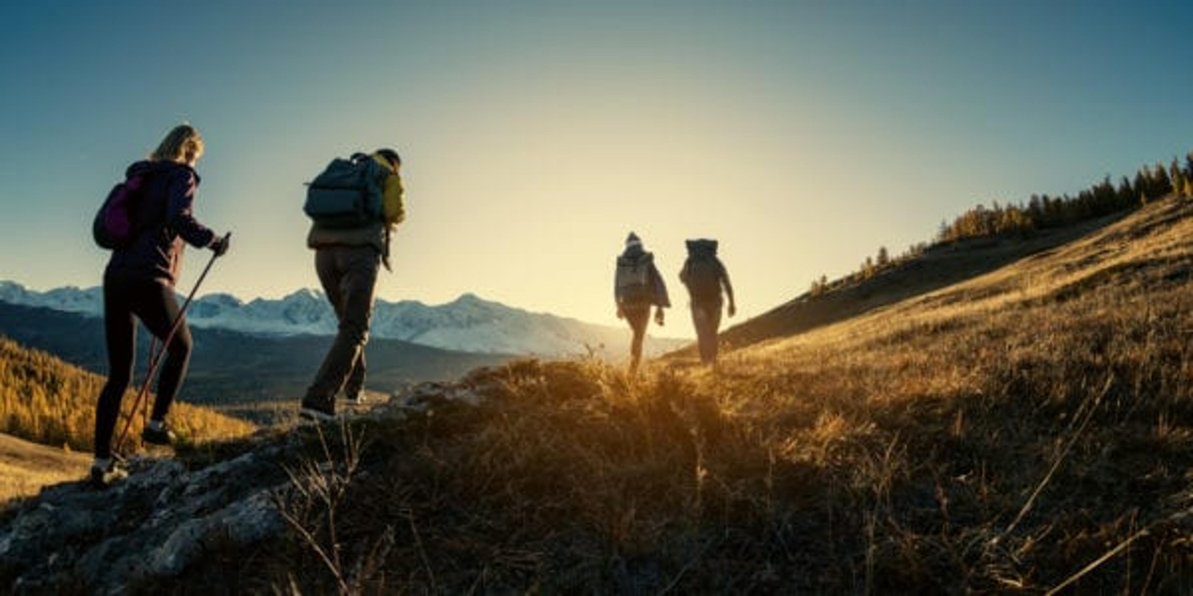 Group of young hikers walks in mountains at sunset time