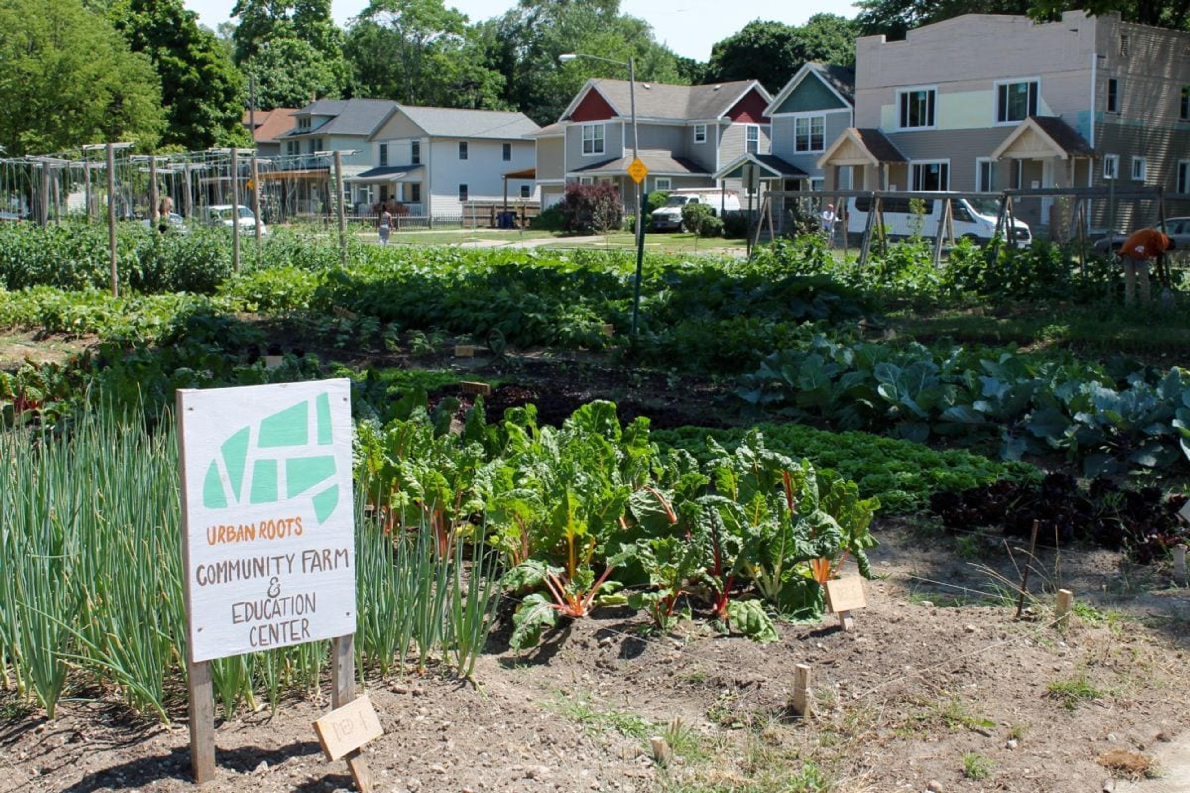 Growing field at Urban Roots with sign that reads "Urban Roots Community Farm & Education Center".