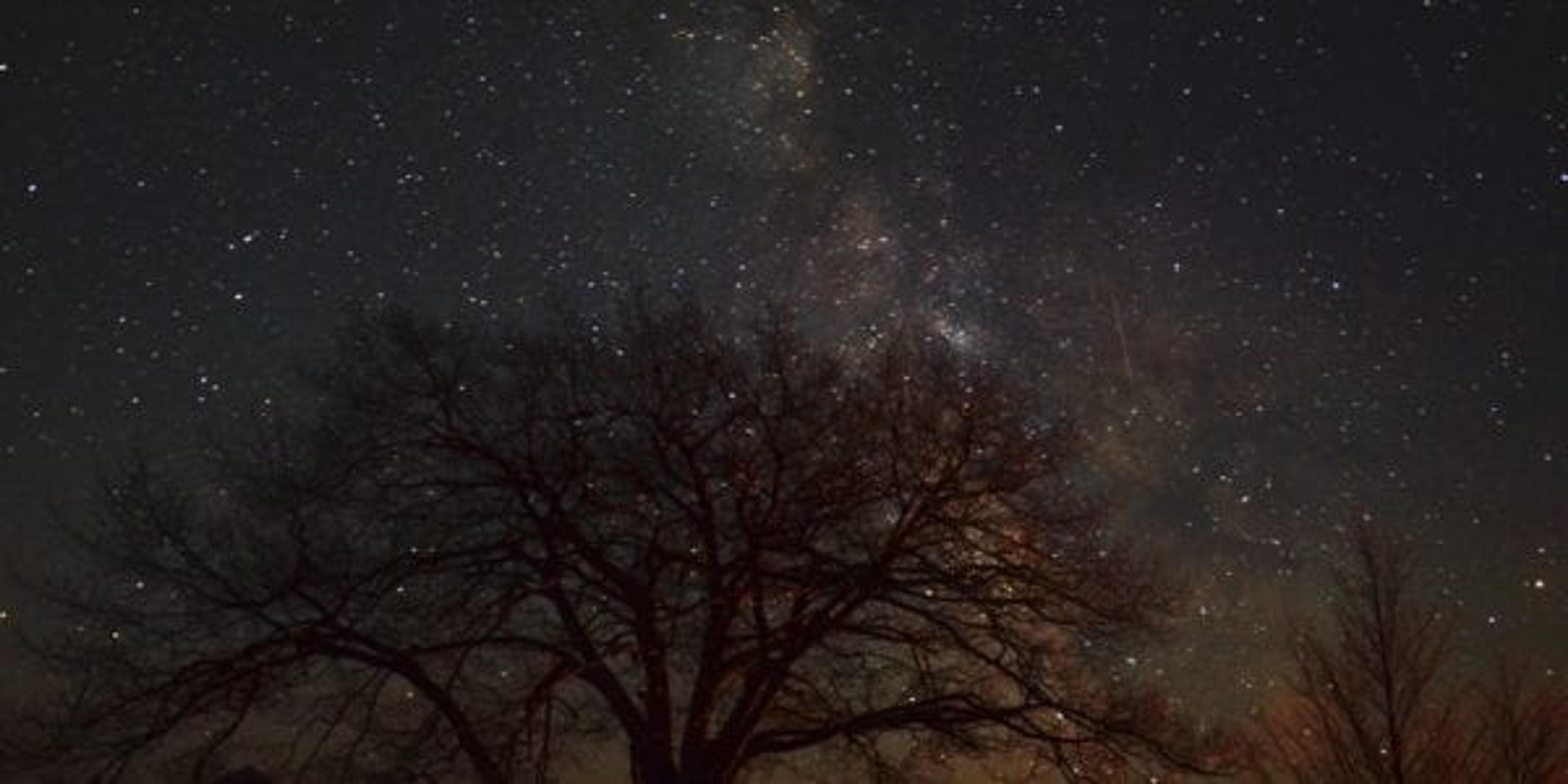 Headlands International Dark Sky Park