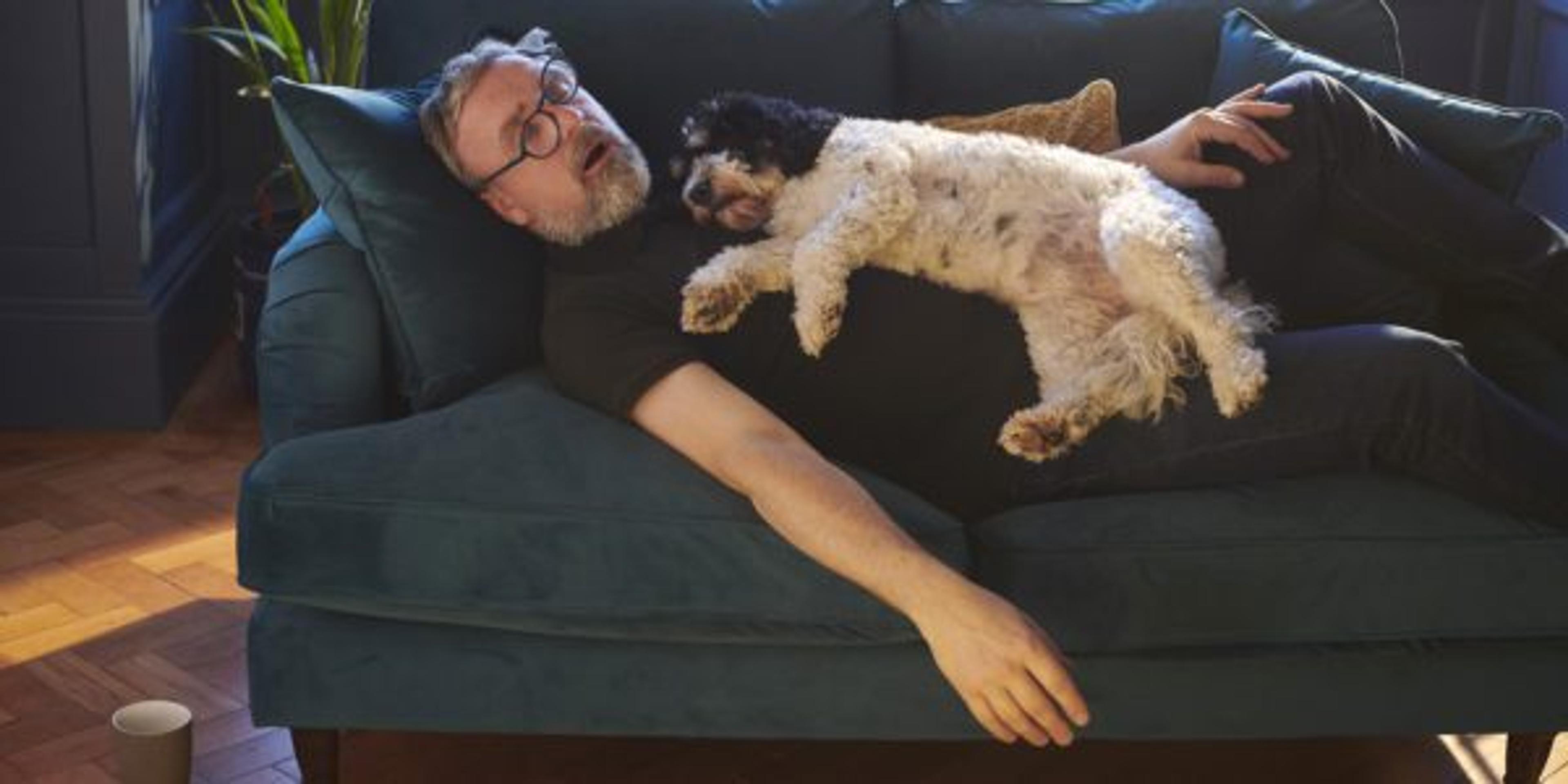 afternoon snooze