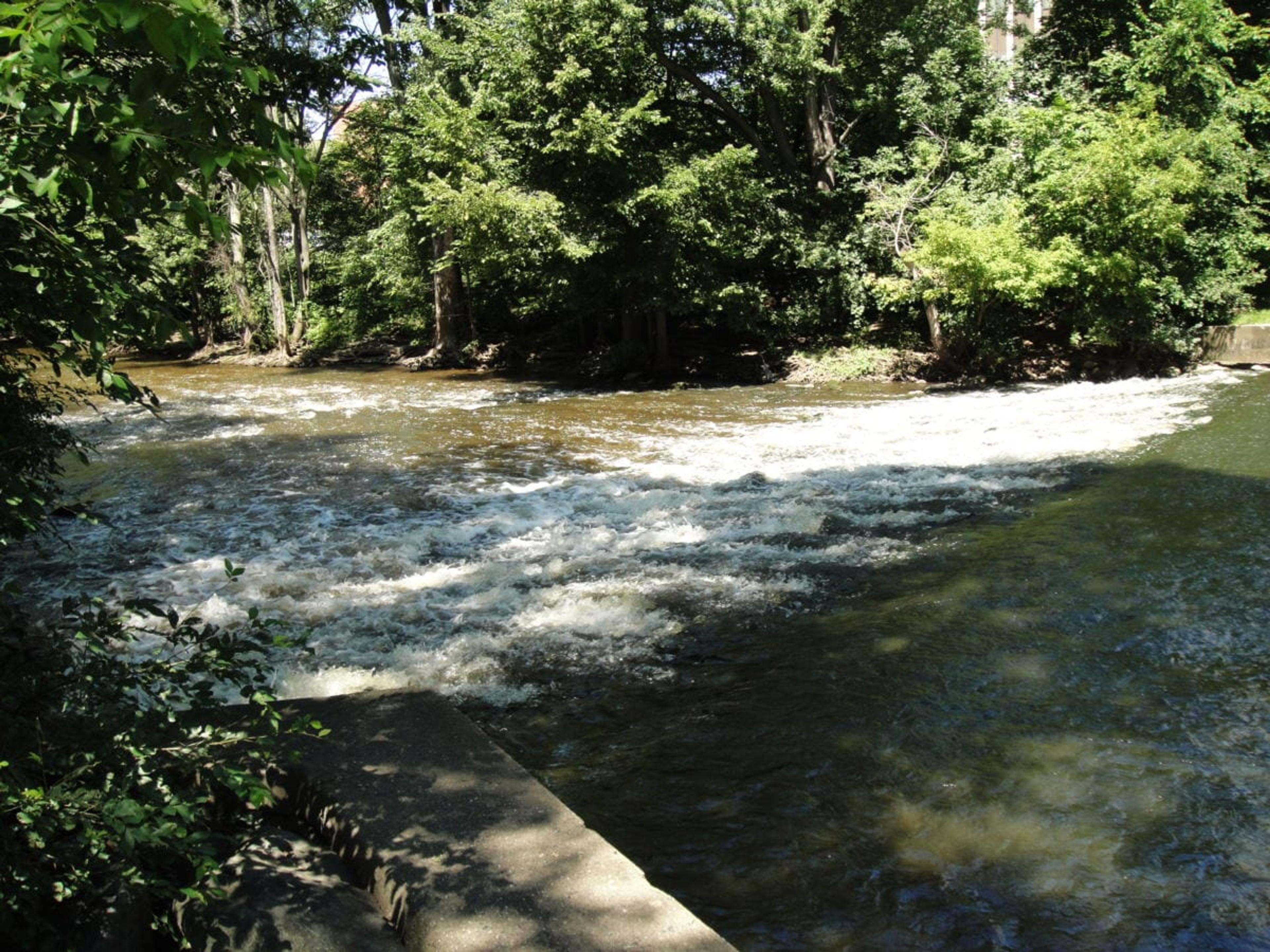 The Red Cedar River on MSU's campus