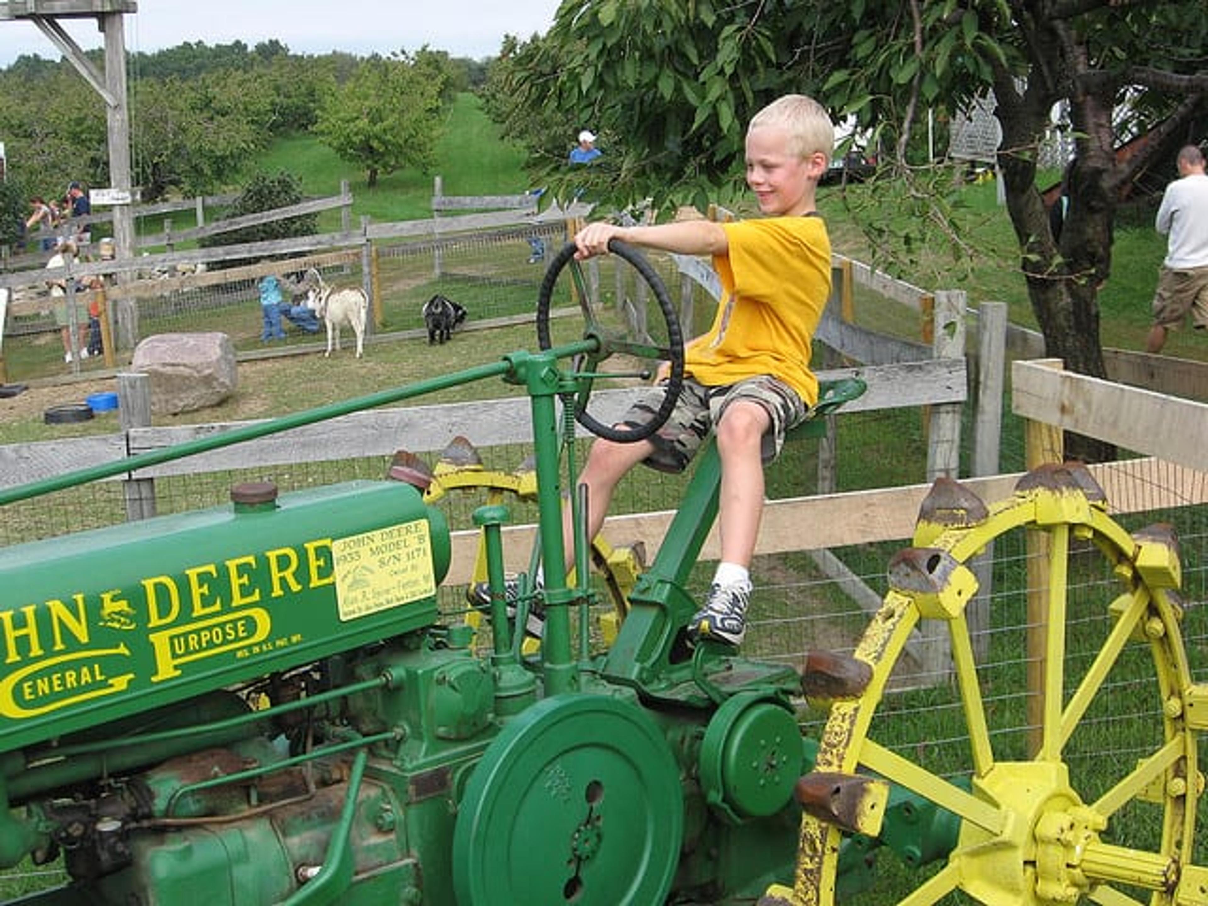 Family fun in south east Michigan