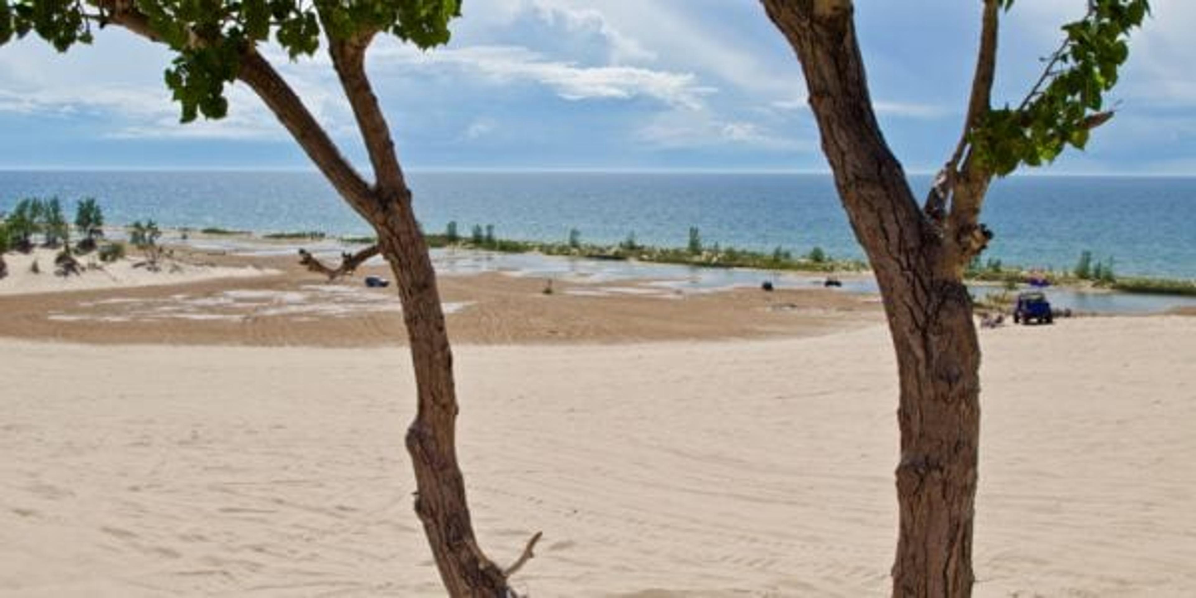 View from behind a tree of sand dunes and lake